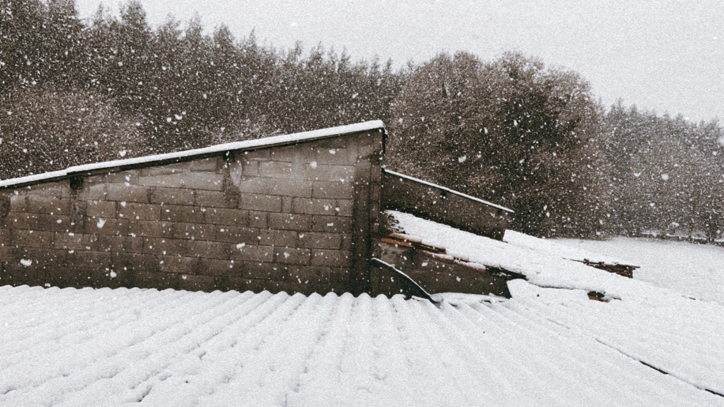 nieve en los tejados